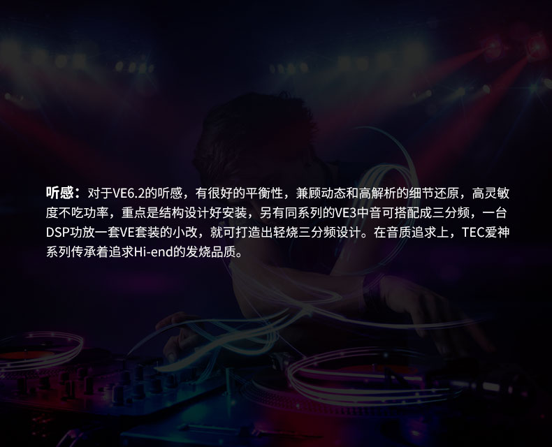 意大利TEC  VE6.2 愛神兩分頻